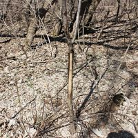 Hunting Recreational Property in Fond Du Lac County images 3