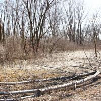 Hunting Recreational Property in Fond Du Lac County images 4