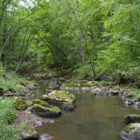 40 Acre Parcel on Otter Creek Sauk County WI