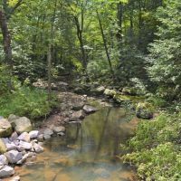 40 Acre Parcel on Otter Creek Sauk County WI images 2