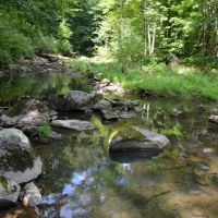 40 Acre Parcel on Otter Creek Sauk County WI images 5