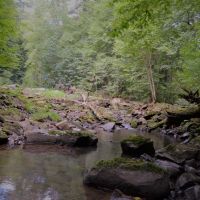 40 Acre Parcel on Otter Creek Sauk County WI images 6