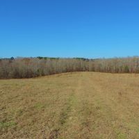 Farm with Commercial Building images 4
