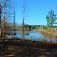 Farm with Commercial Building images 6
