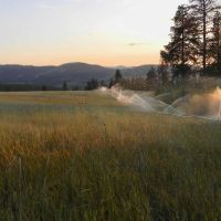 Cuddy Mountain Ranch images 2