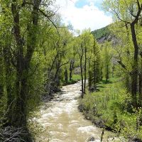 Crystal Creek Ranch images 2