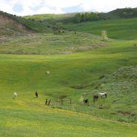 Crystal Creek Ranch images 3