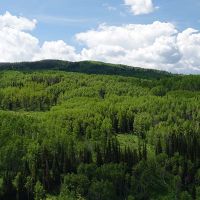 Crystal Creek Ranch images 6