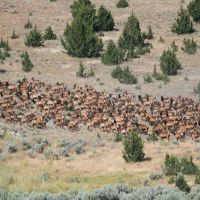 North Ochoco Ranch images 4