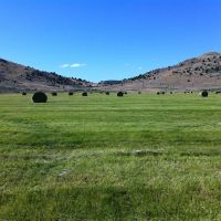 North Ochoco Ranch images 6