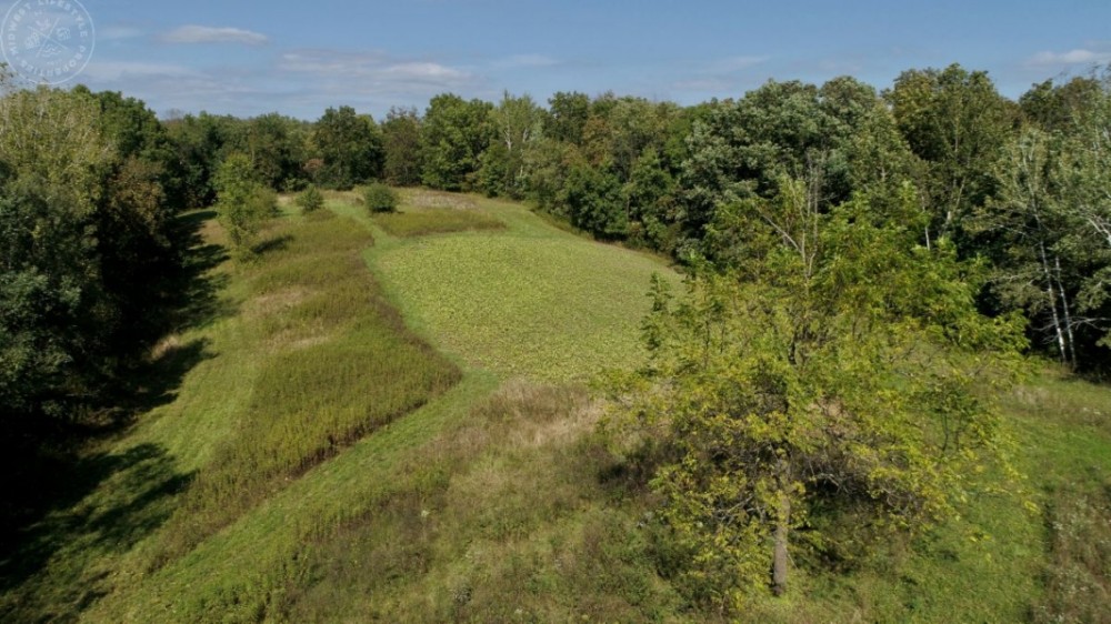 Private Big Buck Hideaway in Vernon County  WI featured image