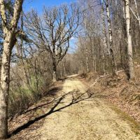 Private Big Buck Hideaway in Vernon County  WI images 6