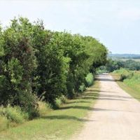Top of the Hill 52