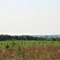 Top of the Hill 52 images 2