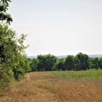 Top of the Hill 52 images 4