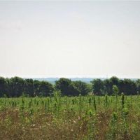 Top of the Hill 52 images 5