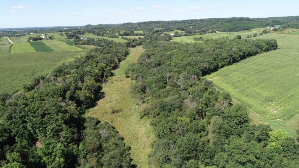 Buildable with Creek Frontage Sauk County WI featured image