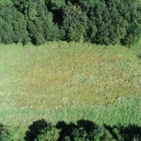 Buildable with Creek Frontage Sauk County WI images 4