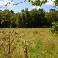 Buildable with Creek Frontage Sauk County WI images 5