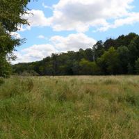 Buildable with Creek Frontage Sauk County WI images 6