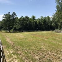 Luxury Estate &nbsp; Recreational Land For Sale in Southeast SC images 6