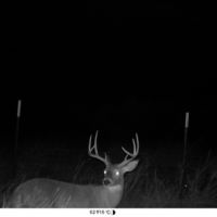 80 acres for sale Southern hill country images 5