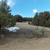 Gardner Family Ranch For Sale images 2