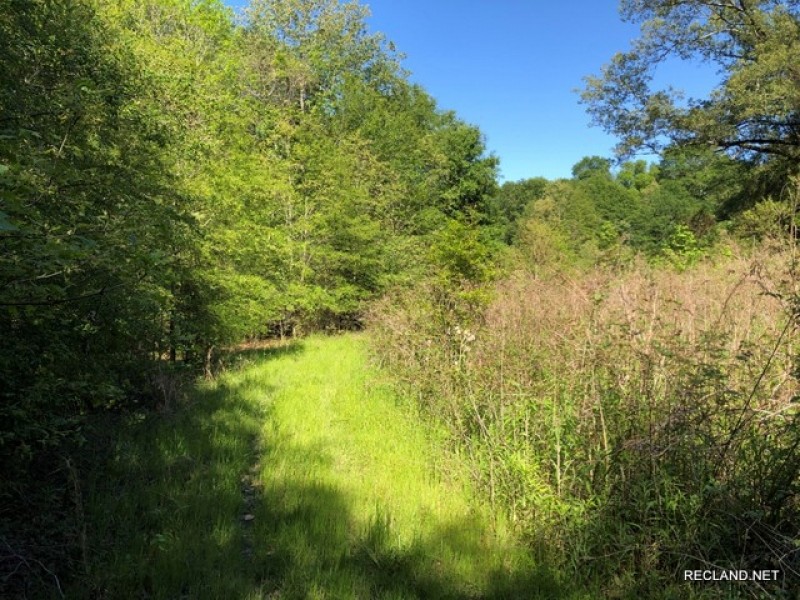 105 ac - Deer &nbsp; Duck Hunting WRP Tract - PRICE REDUCED featured image