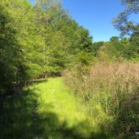 105 ac - Deer &nbsp; Duck Hunting WRP Tract - PRICE REDUCED
