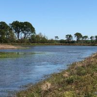 105 ac - Deer &nbsp; Duck Hunting WRP Tract - PRICE REDUCED images 2