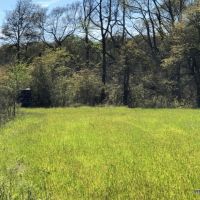 105 ac - Deer &nbsp; Duck Hunting WRP Tract - PRICE REDUCED images 4