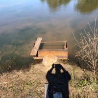 105 ac - Deer &nbsp; Duck Hunting WRP Tract - PRICE REDUCED images 5