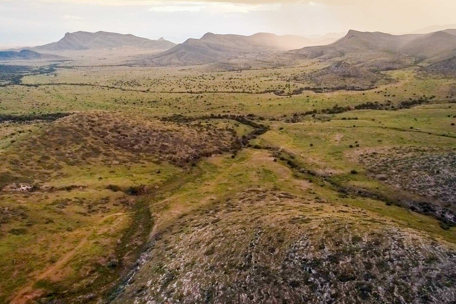 Boss Ranch featured image