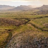 Boss Ranch images 1