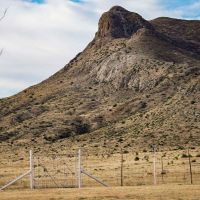 Boss Ranch images 2
