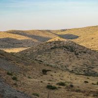 Boss Ranch images 6