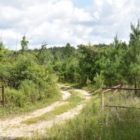 30-010-flomaton-welka-tract-4 images 2