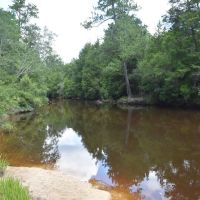 30-010-flomaton-welka-tract-4 images 6