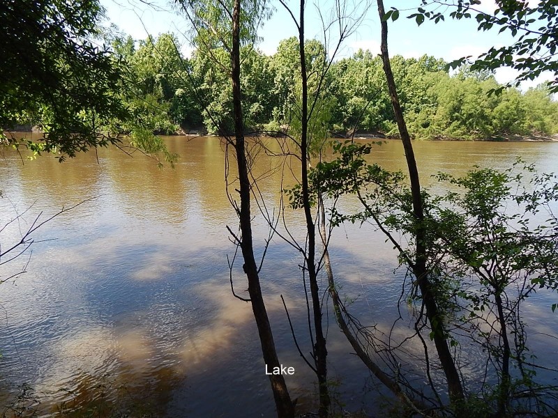 410 Acres  Riverfront  Hamp Island  Washington Parish featured image