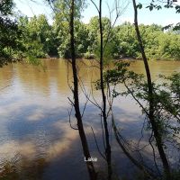 410 Acres  Riverfront  Hamp Island  Washington Parish