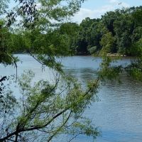 410 Acres  Riverfront  Hamp Island  Washington Parish images 2