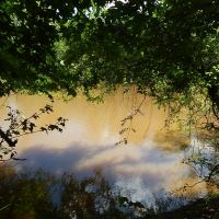 410 Acres  Riverfront  Hamp Island  Washington Parish images 4