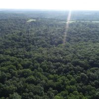 80 Acres In Greene County Indiana images 6
