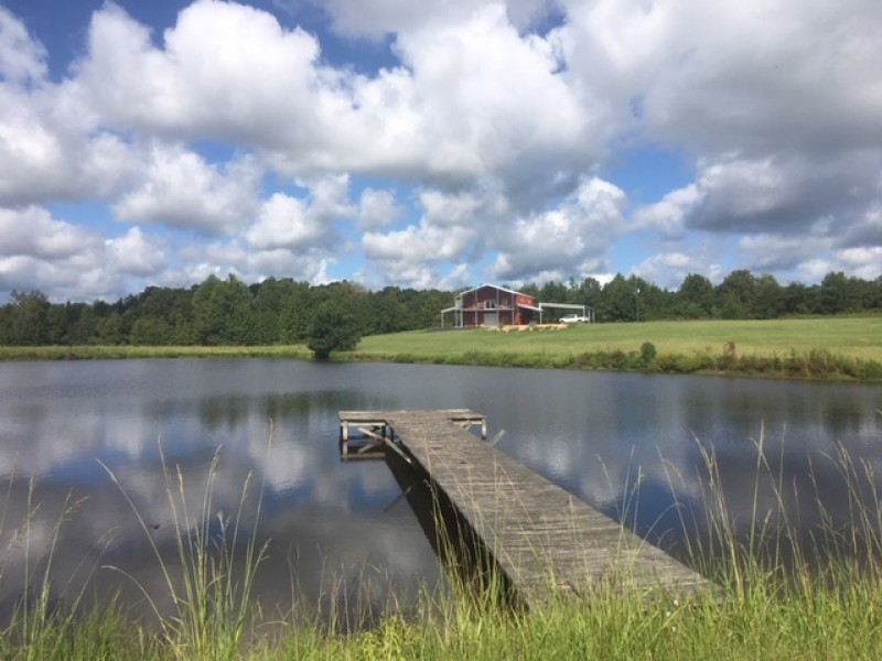300 acres and Lodge Martinsville Road featured image