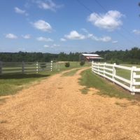 300 acres and Lodge Martinsville Road images 3