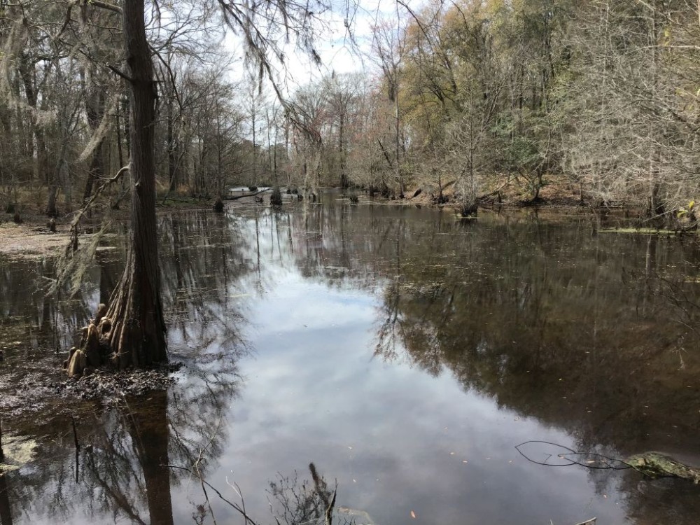 03-026-duck-hunters-paradise featured image