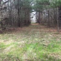 03-026-duck-hunters-paradise images 6