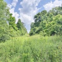 Secluded 32.23 Acres Land for Sale South Pike Co Magnolia MS images 1