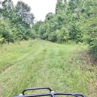 Secluded 32.23 Acres Land for Sale South Pike Co Magnolia MS images 2