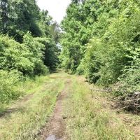 Secluded 32.23 Acres Land for Sale South Pike Co Magnolia MS images 3